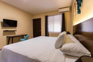 1 dormitorio con cama blanca y ventana en Ammare Hotel Boutique en Playa del Carmen