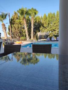 una piscina con palmeras y un reflejo en el agua en Mansion 12 en Lárnaca
