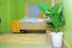 ein grünes Zimmer mit einem Bett und einer Topfpflanze in der Unterkunft Epic Village in Nairobi