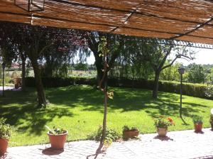 Zahrada ubytování L'albero Del Pepe