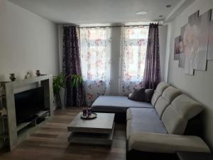 Una sala de estar con un sofá y un televisor. en Alex, en Kassel