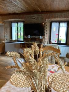 a living room with a table with a plant at Chalupa u Brčáků in Ktiš