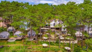 an aerial view of a resort with trees at De Vivre Homestay Măng Đen in Kon Von Kla