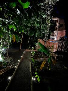 einen Garten mit einem Zaun, Bäumen und Lichtern in der Unterkunft Cabaña de Bambú en la Selva in Palenque