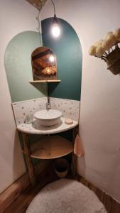 a bathroom with a sink and a mirror at maisonnette avec jardin et terrasse in Montdardier