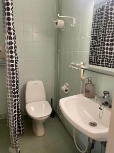 a bathroom with a toilet and a sink at Voionmajoitus Soihtu in Ylöjärvi