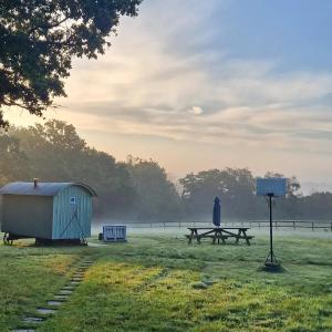 a picnic table and a shed in a field at Skylark Shepherds Hut in Royal Tunbridge Wells