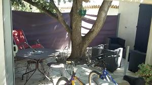 ein Tisch und zwei Fahrräder neben einem Baum geparkt in der Unterkunft ChambreStudio bord de mer, Piscine et SPA in Six-Fours-les-Plages