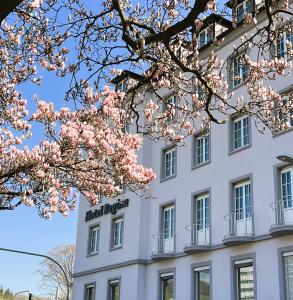 un edificio blanco con un cartel. en Hotel Regina, en Würzburg