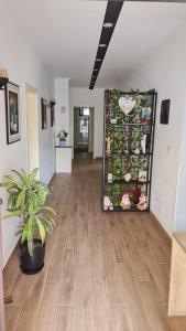 an empty hallway with a plant in a room at Hotel Darda in Kamëz