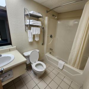 ein Bad mit einem WC, einem Waschbecken und einer Dusche in der Unterkunft Katahdin Inn & Suites in Millinocket