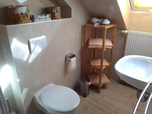 un bagno con un water bianco e un lavandino di Gaststätte und Pension Vorwerk Altenroth a Altenbeuthen