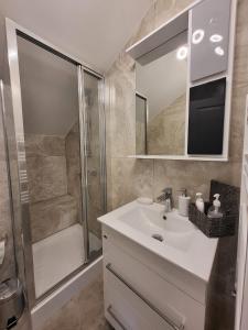 La salle de bains est pourvue d'un lavabo et d'une douche. dans l'établissement Maria City Apartament, à Timişoara