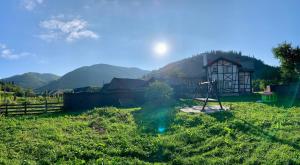 a house in a field with a swing at Дім in Tukhlya