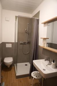 een badkamer met een douche, een toilet en een wastafel bij Ferienwohnung Wiesengrund in Bad Endbach