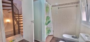 a bathroom with a shower with a sink and a toilet at La casa de San fernando Mezquita in Córdoba +24 photos