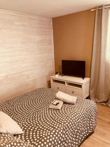 sypialnia z łóżkiem i telewizorem z płaskim ekranem w obiekcie Chambre d'Hôtes du Vieux Collonges w mieście Collonges-au-Mont-dʼOr