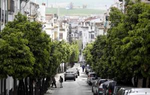 a tree lined street with cars and people walking down it at La casa de San fernando Mezquita in Córdoba