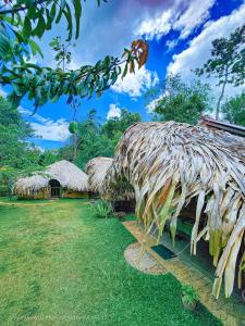 um grupo de cabanas num campo com relva em Hasthi Safari Cottage em Udawalawe