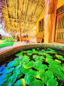 Giardino di Hasthi Safari Cottage
