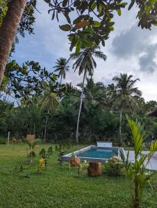 einen Pool inmitten eines Gartens mit Bäumen in der Unterkunft Mawella Cove in Tangalle
