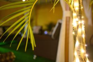 Ogród w obiekcie Terraza Los Cristianos