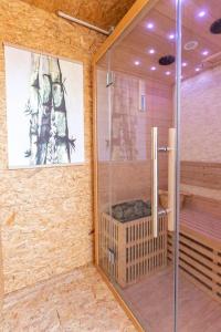 een badkamer met een douche en een sauna bij Le petit cocon in Levroux