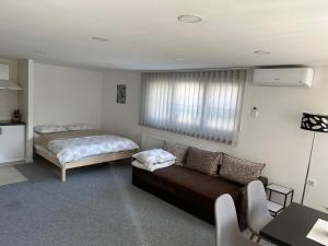 salon z kanapą i łóżkiem w obiekcie Studio Apartman Iovia place w mieście Ludbreg