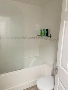 a white bathroom with a toilet and a bath tub at Cosy flat close to city centre. in Nether Edge