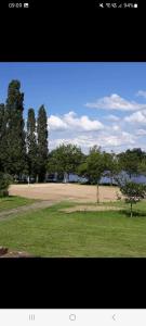 un champ planté d'arbres et un grand champ doté d'une filière sidx sidx dans l'établissement Cherry Blossom Cottage, à Gorre