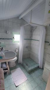 ein Bad mit einer Dusche und einem Waschbecken in der Unterkunft Pension Lale in Peštani