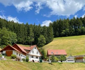 een huis in het midden van een grasheuvel bij Holderstanzenhof in Bad Peterstal-Griesbach