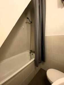 La salle de bains est pourvue d'une baignoire, de toilettes et d'une douche. dans l'établissement Villeurbanne • T1 Février • HostisY, à Villeurbanne