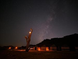 a starry night with a tree and a cabin at Wadi Rum Travel camp in Wadi Rum