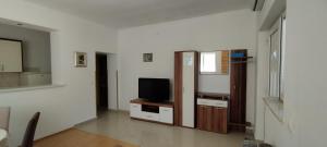TV a/nebo společenská místnost v ubytování Apartment Štrbić