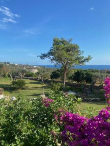 un jardin avec des fleurs violettes et un arbre dans l'établissement Tenuta Le Farcole by LoveSud, à Leuca