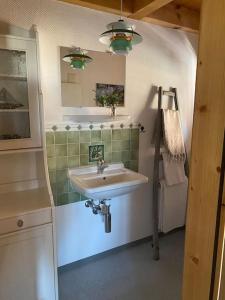 uma casa de banho com um lavatório e um espelho em Platz zum Wohlfühlen „cook&chill“ em Ermatingen