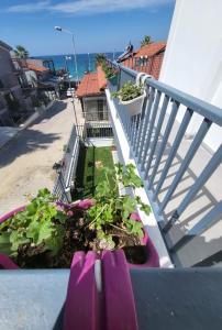 een balkon met een aantal planten in paarse potten bij Lulubay Rooms & Suites in Kuşadası