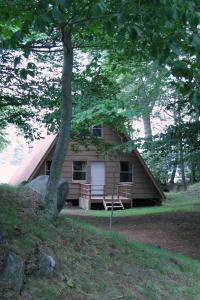 una pequeña casa con un porche y un árbol en Cabin A-frame - Beautiful Cabin in Laurel Island, en East Hampton