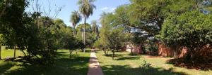 un camino en un parque con palmeras y césped en BauHouse Asuncion, en Asunción