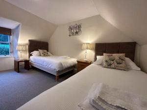 1 dormitorio con 2 camas y ventana en Red Squirrel Cottage, en Strathtay