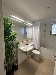 y baño con lavabo, aseo y espejo. en City Appartement direkt am Schloss! en Karlsruhe