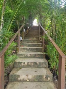 eine Treppe, die zu einem Gebäude mit Pflanzen führt in der Unterkunft Chalé Kalmaria in Guaramiranga