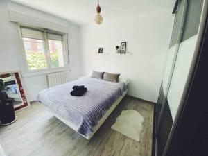 - une chambre dotée d'un lit avec un chat noir dans l'établissement Precioso apartamento con bañera hidromasaje, à Sopelana