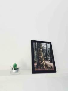 Gallery image of Precioso apartamento con bañera hidromasaje in Sopelana