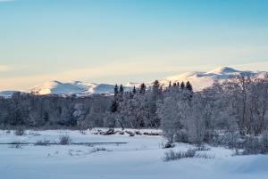 um campo nevado com árvores e montanhas cobertas de neve em Vålådalens Fjällstation em Vålådalen