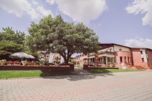 a tree in the middle of a street with a building at C&C Karo Resort in Bacău