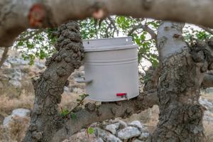 a white bucket sitting in a tree at Star Sleep Gerani Rethymno in Yeránion
