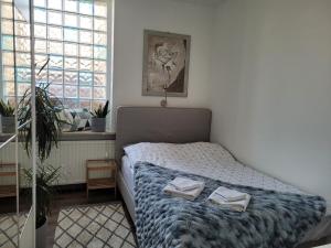 比得哥什的住宿－Apartament Pod Orzechem，一间卧室配有一张床,上面有两条毛巾