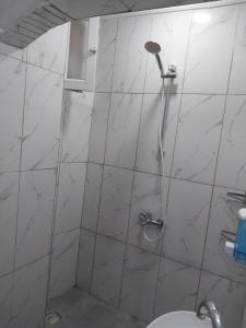 ein Bad mit einer Dusche und einem WC in der Unterkunft Artemis Apart&Otel in Bursa
